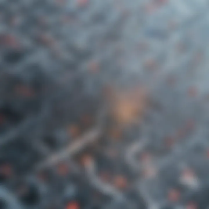 A detailed view of microfluidic devices showcasing the complexity and precision involved.