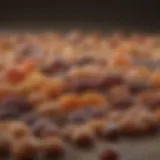 Nutrient-rich foods beneficial for gastrointestinal health