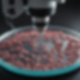 A microscope focusing on a cell culture dish showing signs of mycoplasma contamination