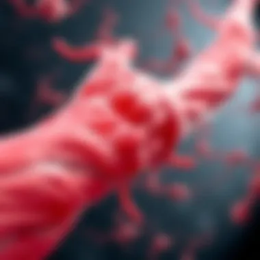 Significance of Myosin Inhibitors in Muscle Contraction Significance of myosin inhibitors in muscle contraction