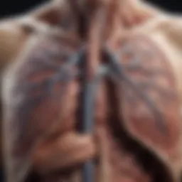Detailed diagram of lung cancer necrosis