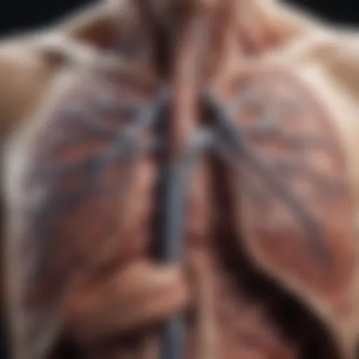 Detailed diagram of lung cancer necrosis