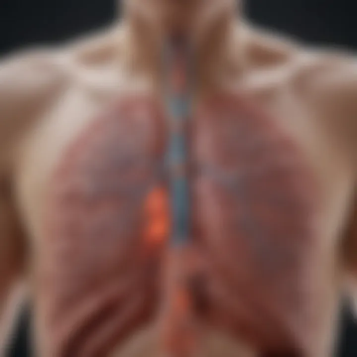 Infographic on treatment challenges in necrotic lung cancer