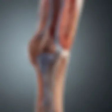 Neurological Pathways Linking Sciatica and Ankle Discomfort Graphic representation of the neurological pathways involved in sciatica and ankle pain