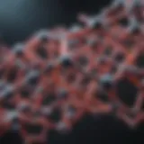 Detailed molecular structure of nisin showcasing its unique peptide bonds