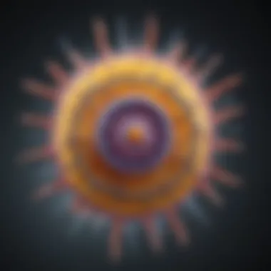 Gene Expression and the Nucleus Diagram showing the function of the nucleus in gene expression