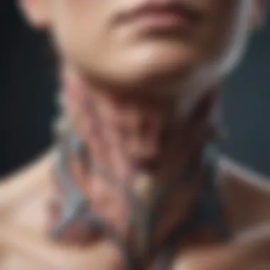Thyroid Anatomy and Papillary Thyroid Cancer Illustration of thyroid anatomy highlighting the papillary thyroid cancer location