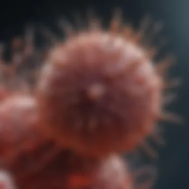 Impact of Pathogenic Factors on B Cell Function Impact of pathogenic factors on B cell function