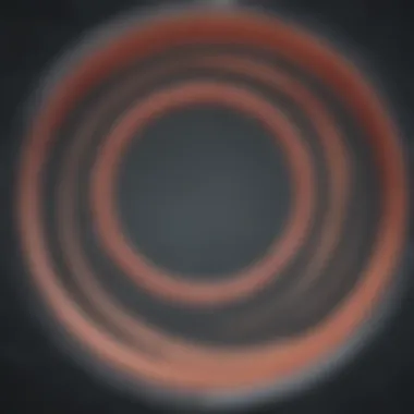 Detailed overview of plasmid components Plasmid structure and components