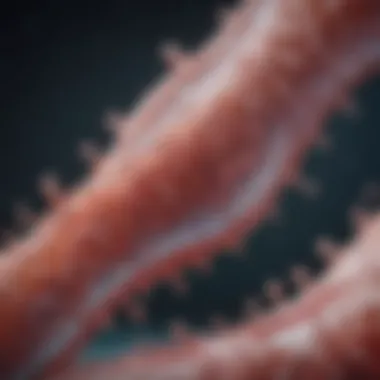 Microscopic view of PLGA in tissue engineering