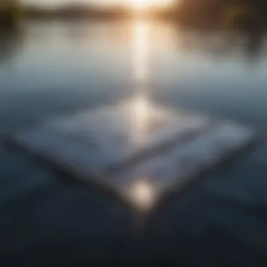 Harnessing Sunlight: The Innovation of Floating Solar Panels Floating solar panels harnessing sunlight on water bodies