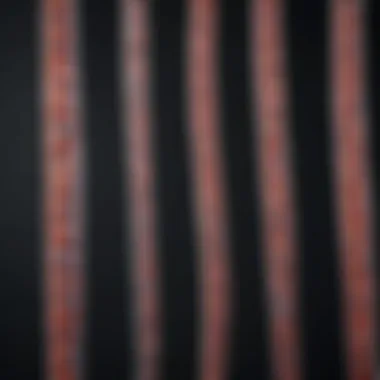 Detailed view of protein bands after SDS-PAGE