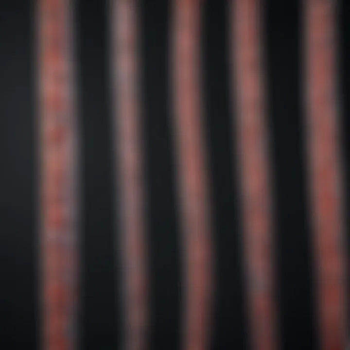 Detailed view of protein bands after SDS-PAGE