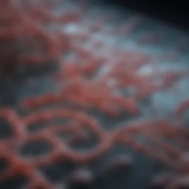 Protein Transfer in Western Blotting Visualization of protein transfer in Western blotting