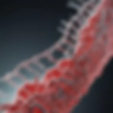 Schematic representation of nucleic acid amplification techniques