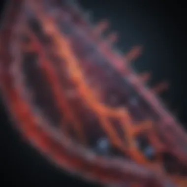 Graphical depiction of fluorescence-based nucleic acid quantification