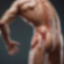 Illustration depicting the pathophysiology of muscle spasms in spinal cord injuries.
