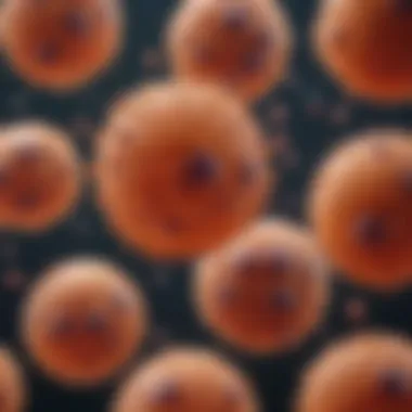 Infographic summarizing the role of squamous cells in various disease processes