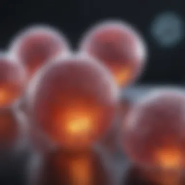 Types of Stem Cell Therapies A diagram showing the types of stem cell therapies and their applications