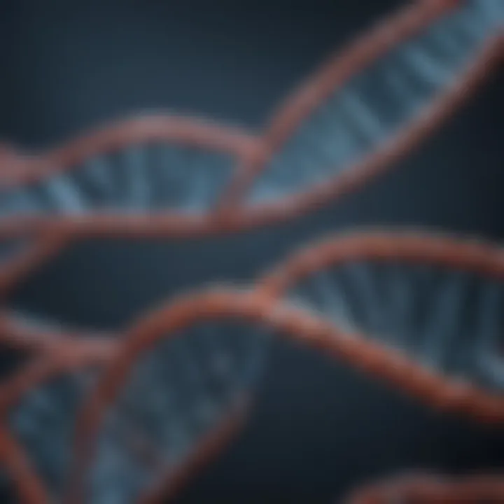 Role of DNA in protein synthesis