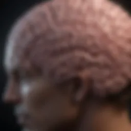 Visual representation of brainwave patterns associated with TBR neurofeedback