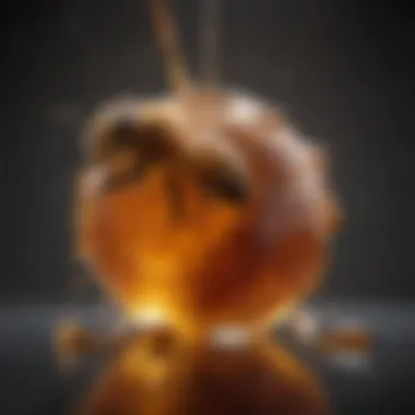 Unveiling Honey’s Antioxidant Potential Visual representation of honey's antioxidant properties