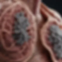 Close-up of lung tissue affected by smoking