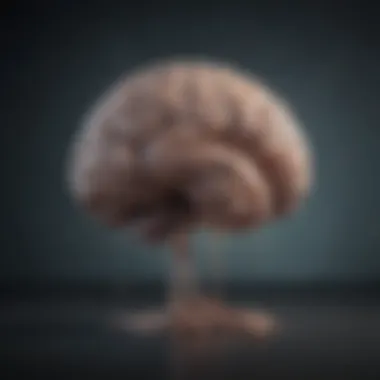 Depression and Brain Functionality Brain activity related to depression