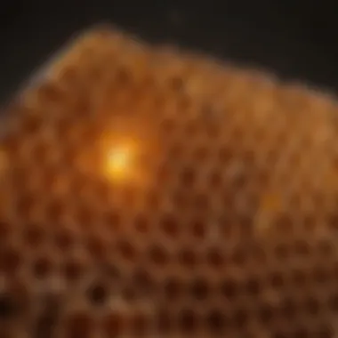Honeycomb Structure: A Marvel of Nature's Architecture Honeycomb in a beehive