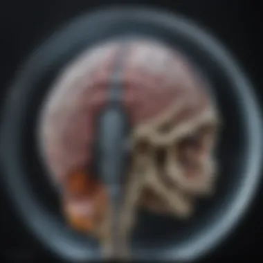 High-resolution MRI scan showcasing detailed anatomical imaging