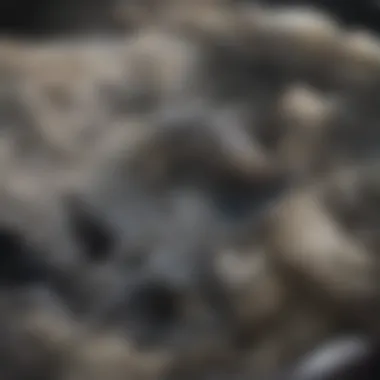 Ancient Peanut Archaeology An archaeological site showcasing ancient peanut remains