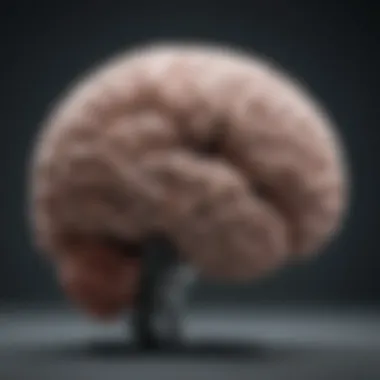 The Brain's Role in Creativity Visual representation of creativity and innovation