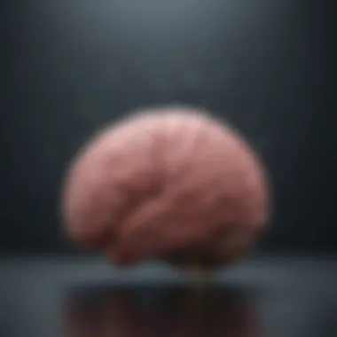 Artistic depiction of emotional brain activity