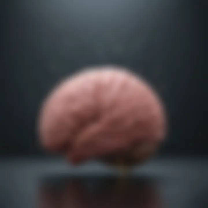 Artistic depiction of emotional brain activity