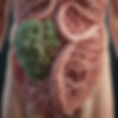 Factors Influencing Candida Overgrowth in the Intestines Chart showing factors contributing to Candida overgrowth