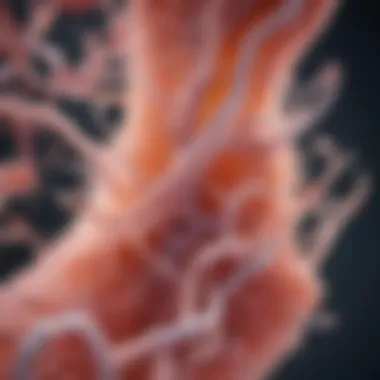 Microscopic Perspective of Candida in Gut Health Microscopic view of Candida cells in the intestines