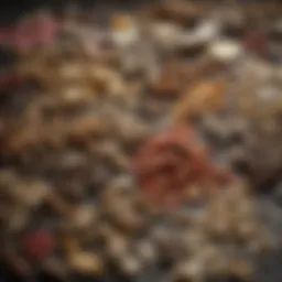 An array of dried Chinese herbs known for their medicinal properties.
