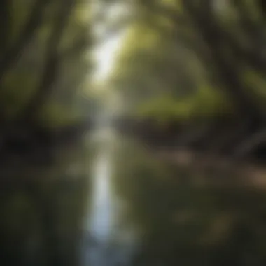 Vibrant mangrove forest showcasing diverse species