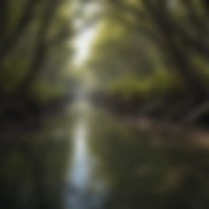 Vibrant mangrove forest showcasing diverse species