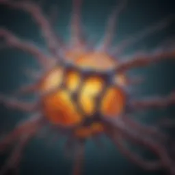 Illustration depicting oxidative stress mechanisms in cellular biology