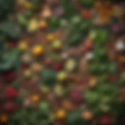 An assortment of vitamin-rich foods including leafy greens and nuts