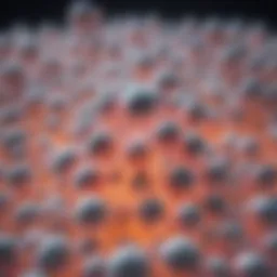 Illustration of encapsulated probiotics showing the structure of capsules