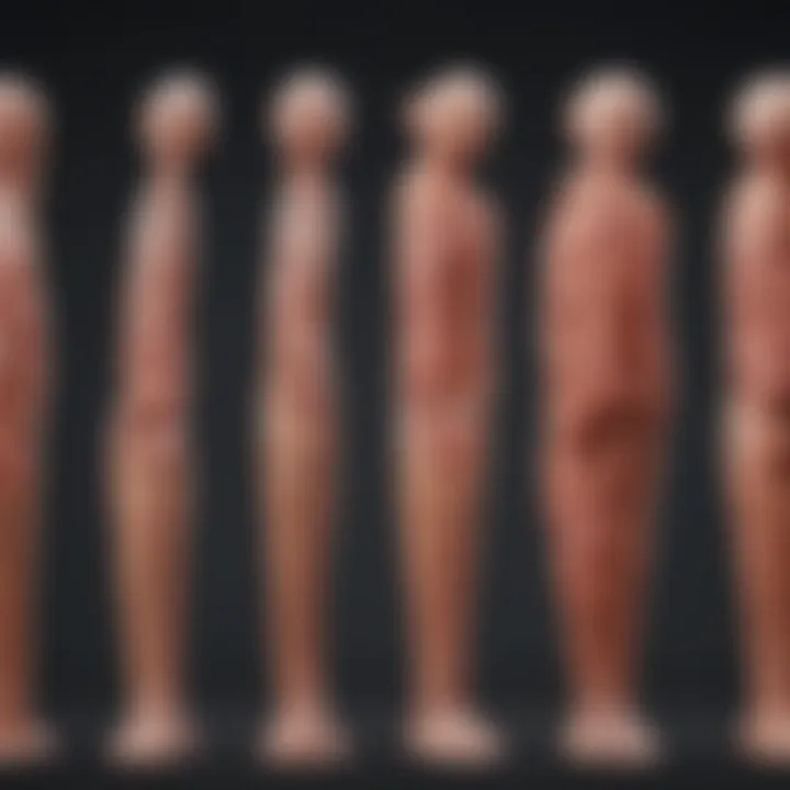 Chart illustrating types of muscular dystrophy