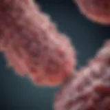 Understanding Afatinib and T790M Mutations in Lung Cancer Treatment Introduction