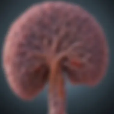 Notable Understanding Afatinib and T790M Mutations in Lung Cancer Treatment Notable Understanding Afatinib and T790M Mutations in Lung Cancer Treatment