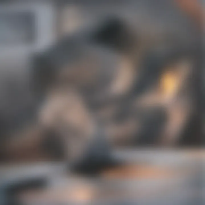 A veterinarian examining a dog for allergy symptoms