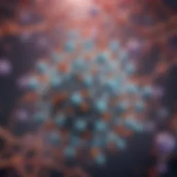 Illustration of anti-dsDNA antibody structure