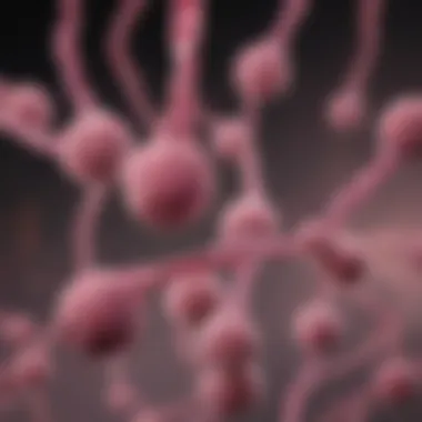 Genetic Markers and Breast Cancer Risk Genetic markers associated with Ashkenazi breast cancer
