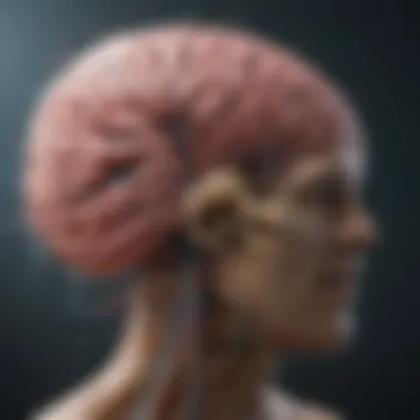 Neural Pathways and Depression Illustration depicting the brain's neural pathways affected by depression