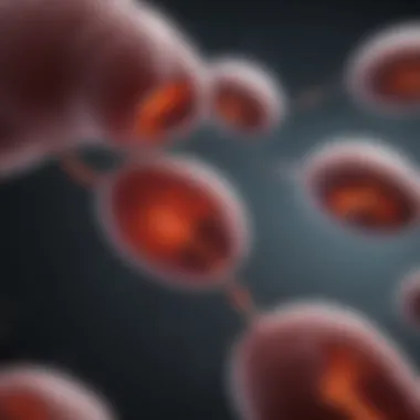 Importance of Liver Enzyme Testing Visual representation of liver enzyme tests